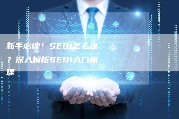 新手必读！SEO1怎么进？深入解析SEO1入门原理