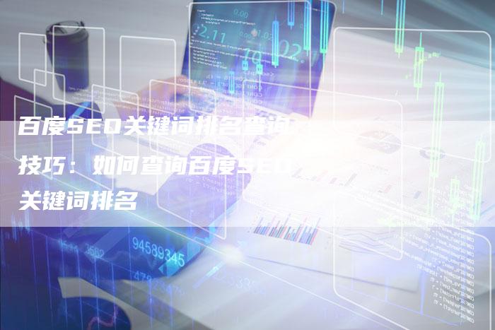 百度SEO关键词排名查询技巧：如何查询百度SEO关键词排名