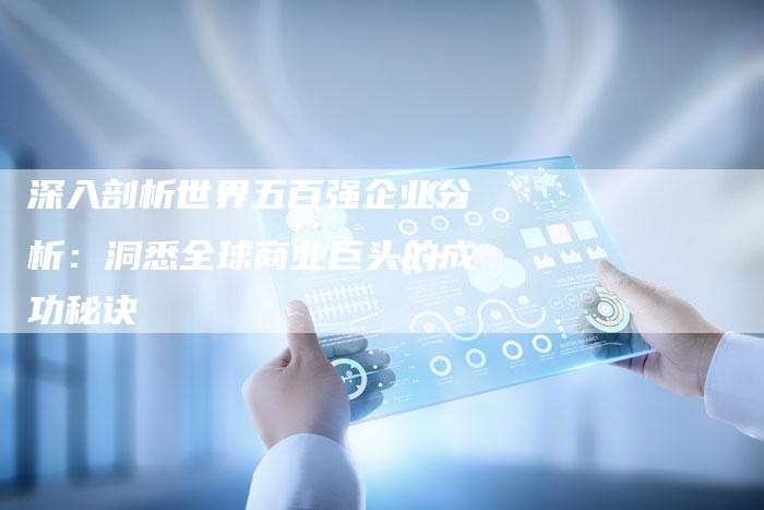 深入剖析世界五百强企业分析：洞悉全球商业巨头的成功秘诀