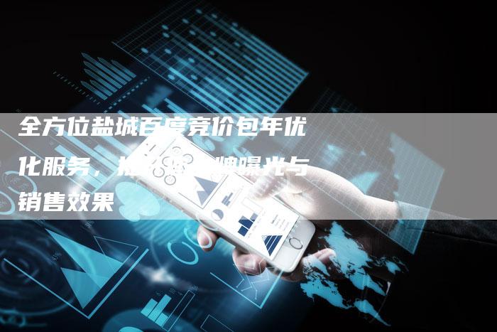 全方位盐城百度竞价包年优化服务，提升您品牌曝光与销售效果