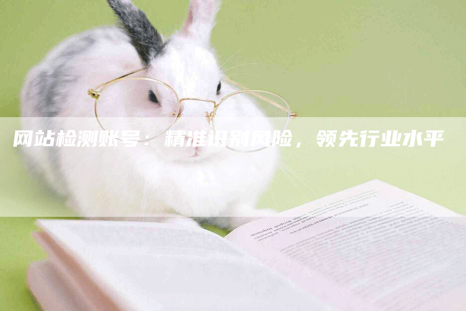 网站检测账号：精准识别风险，领先行业水平
