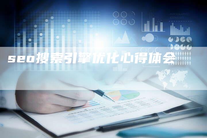 seo搜索引擎优化心得体会