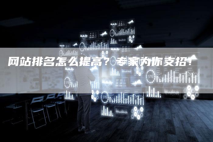 网站排名怎么提高？专家为你支招！