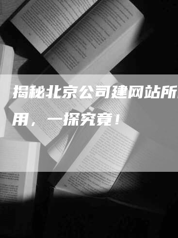 揭秘北京公司建网站所需费用，一探究竟！