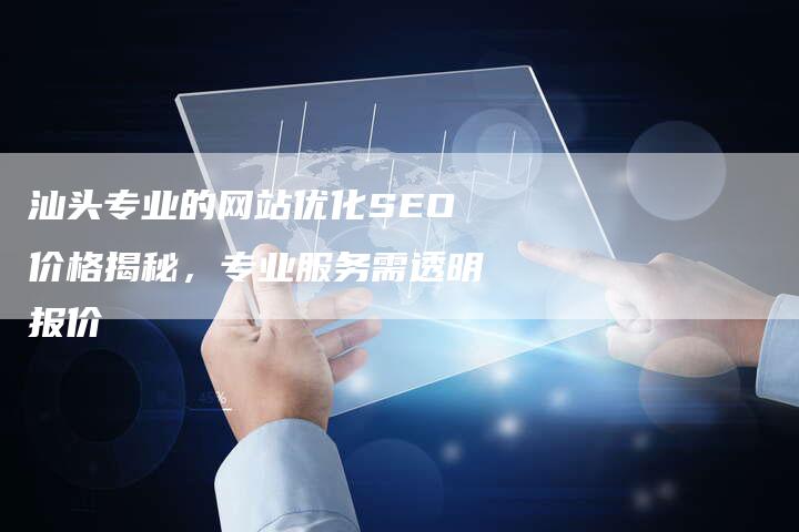 汕头专业的网站优化SEO价格揭秘，专业服务需透明报价