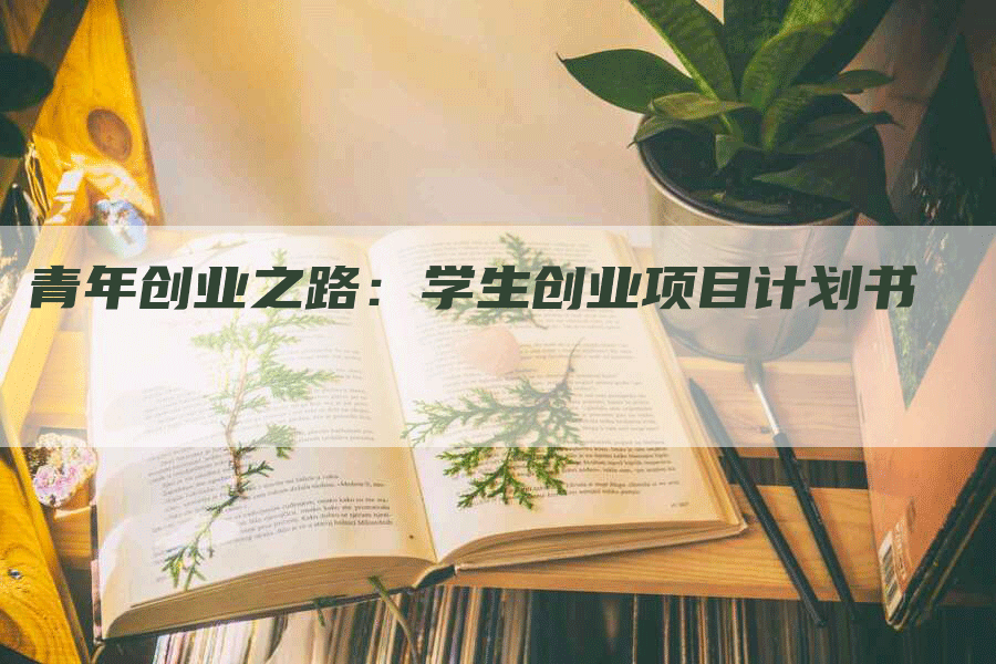青年创业之路：学生创业项目计划书