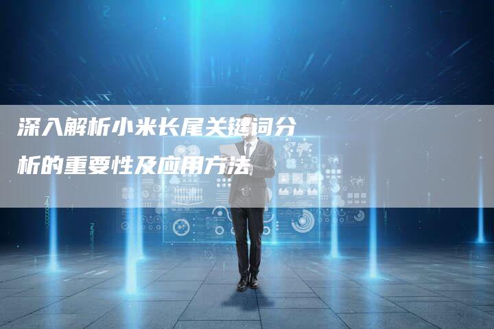深入解析小米长尾关键词分析的重要性及应用方法