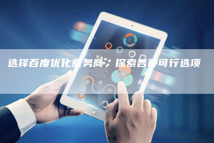 选择百度优化服务商，探索各种可行选项