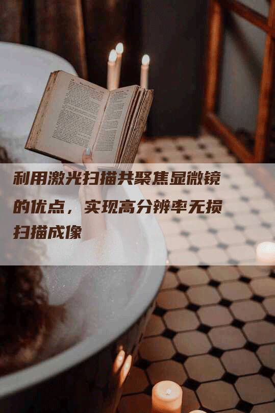 利用激光扫描共聚焦显微镜的优点，实现高分辨率无损扫描成像