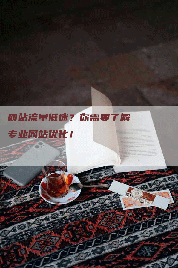 网站流量低迷？你需要了解专业网站优化！
