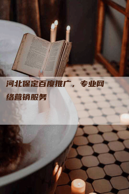 河北保定百度推广，专业网络营销服务