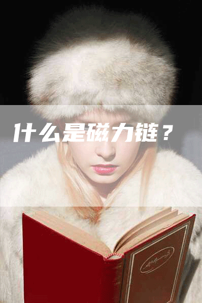 什么是磁力链？
