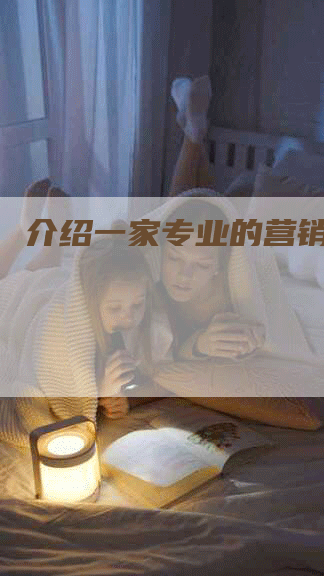 介绍一家专业的营销公司
