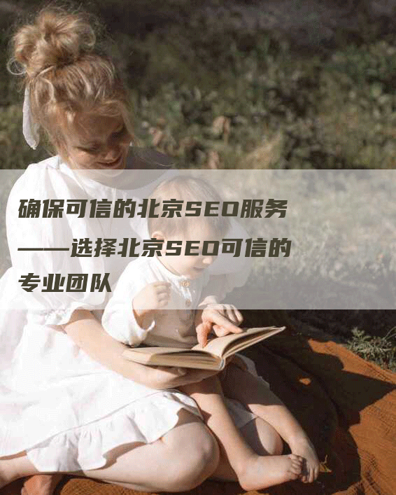 确保可信的北京SEO服务——选择北京SEO可信的专业团队