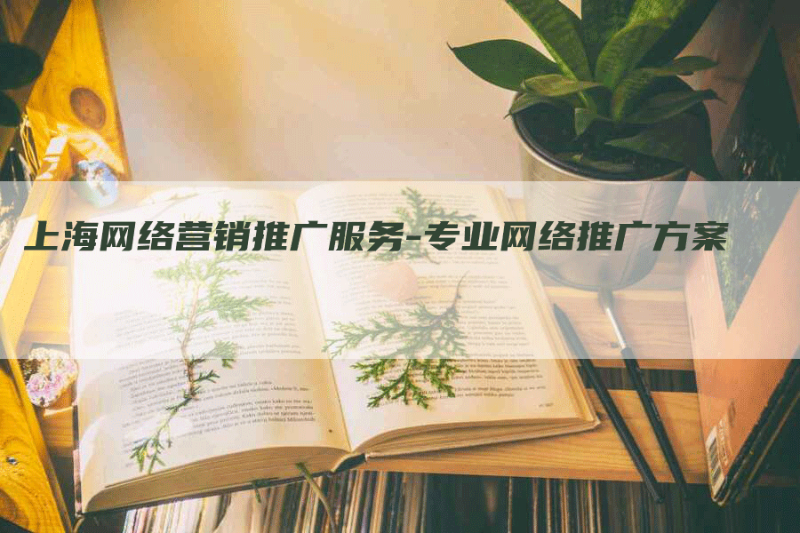 上海网络营销推广服务-专业网络推广方案