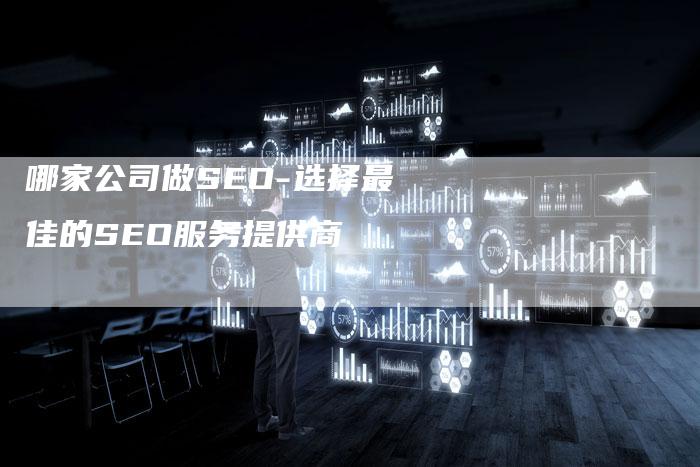 哪家公司做SEO-选择最佳的SEO服务提供商