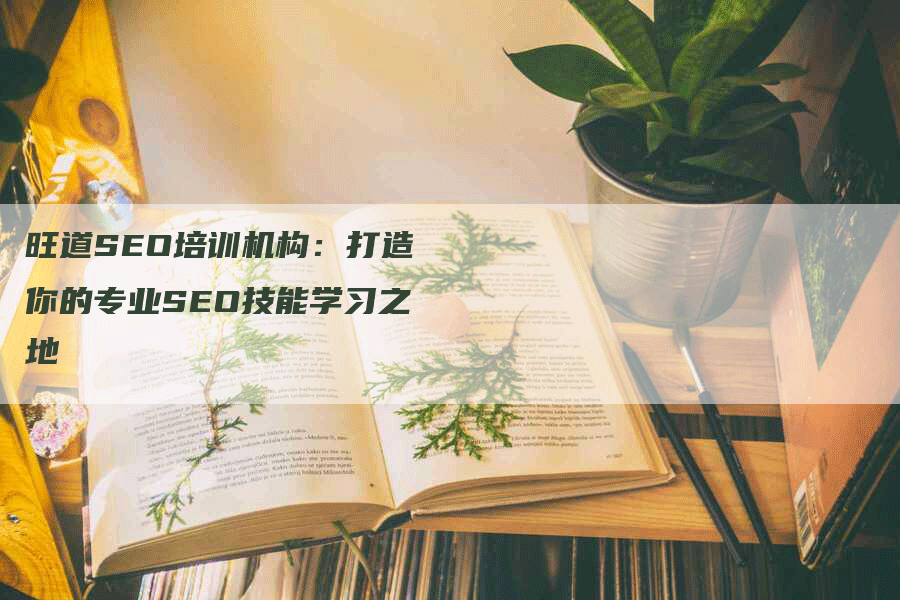 旺道SEO培训机构：打造你的专业SEO技能学习之地