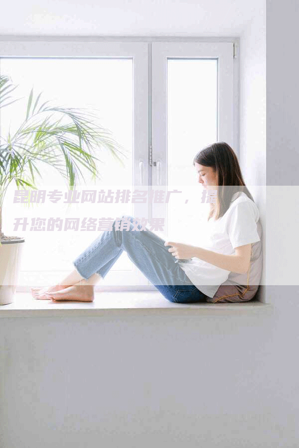 昆明专业网站排名推广，提升您的网络营销效果