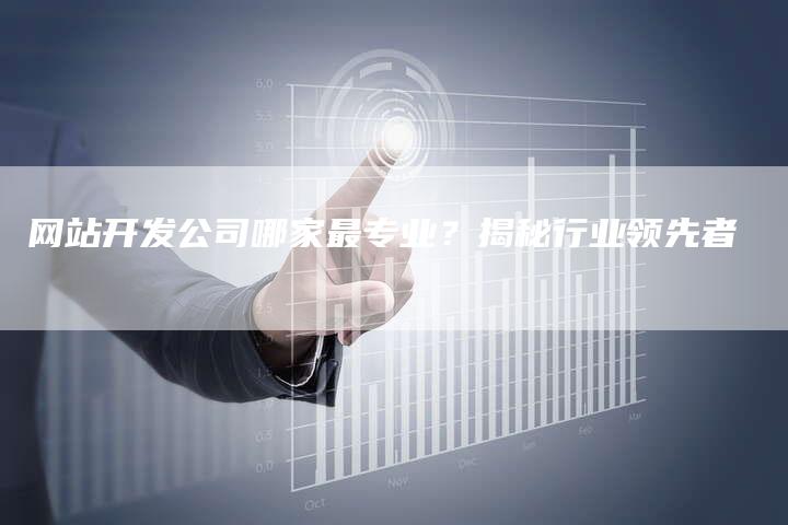 网站开发公司哪家最专业？揭秘行业领先者