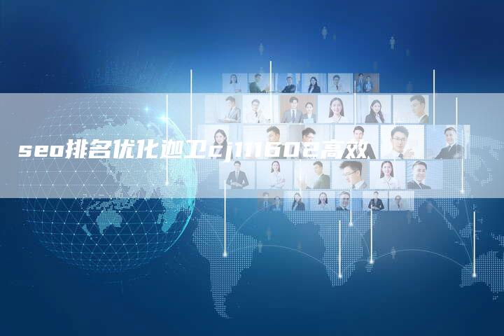 seo排名优化迦卫cj111602高效