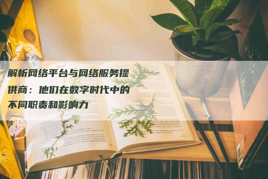 解析网络平台与网络服务提供商：他们在数字时代中的不同职责和影响力