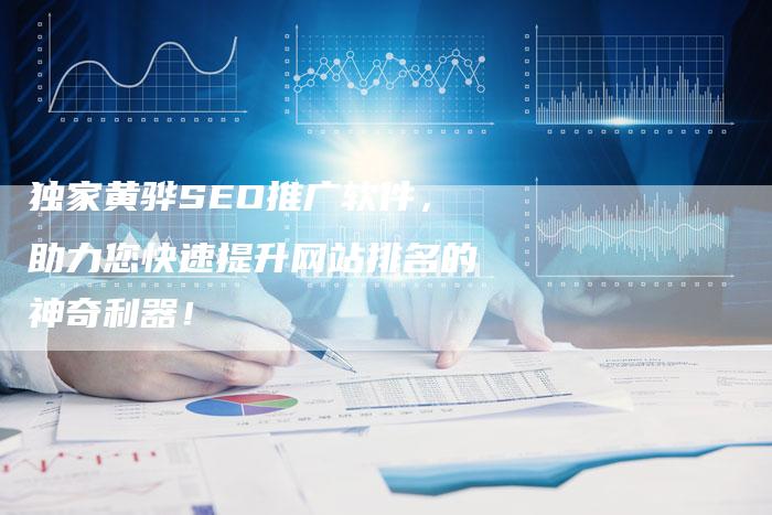 独家黄骅SEO推广软件，助力您快速提升网站排名的神奇利器！
