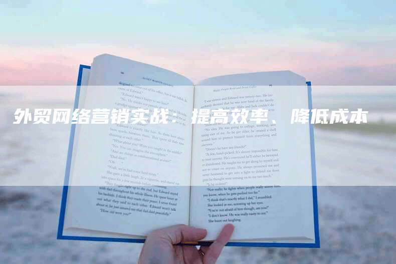 外贸网络营销实战：提高效率、降低成本