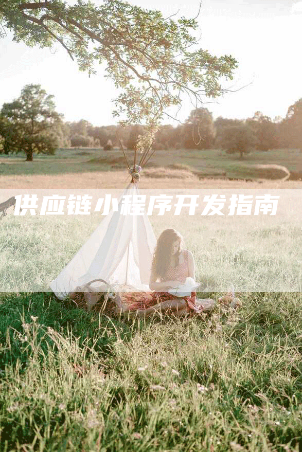 供应链小程序开发指南