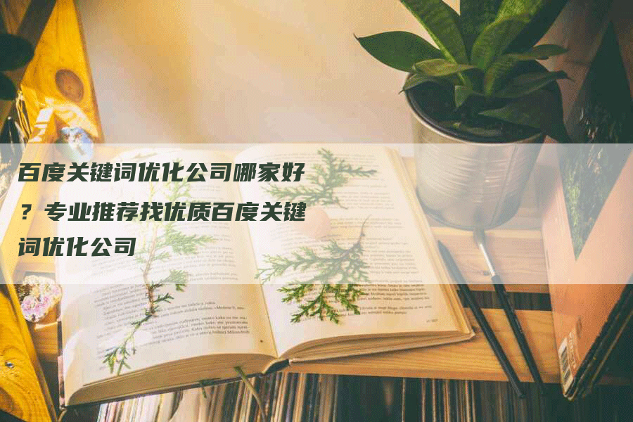 百度关键词优化公司哪家好？专业推荐找优质百度关键词优化公司
