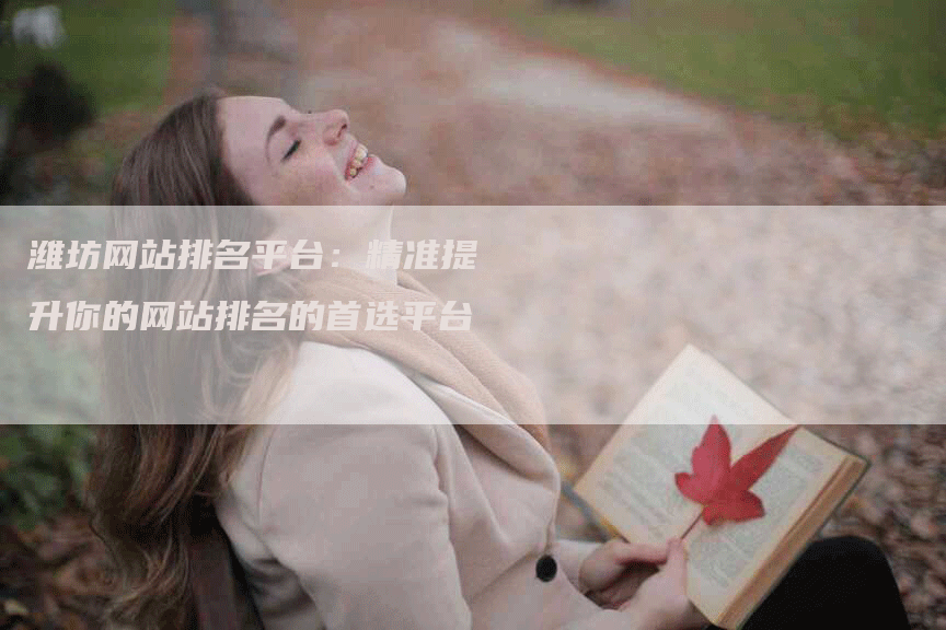 潍坊网站排名平台：精准提升你的网站排名的首选平台