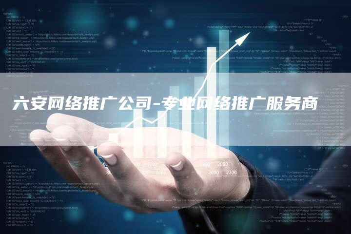 六安网络推广公司-专业网络推广服务商
