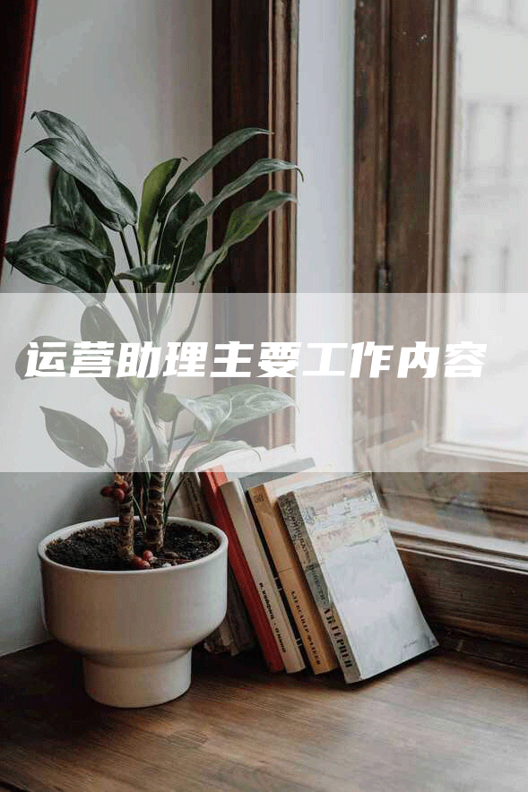 运营助理主要工作内容