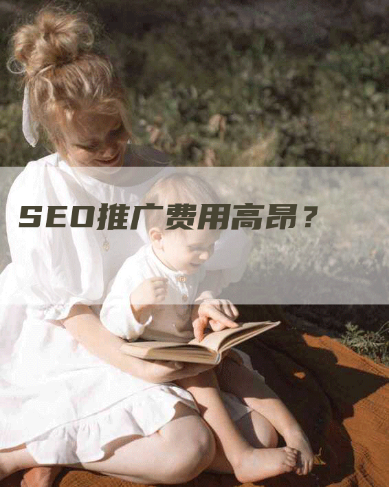 SEO推广费用高昂？