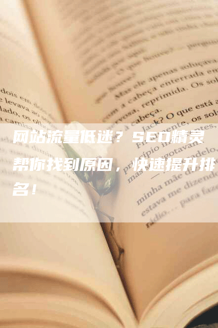 网站流量低迷？SEO精灵帮你找到原因，快速提升排名！