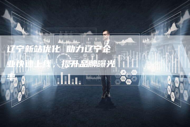 辽宁新站优化 助力辽宁企业快速上线，提升品牌曝光率