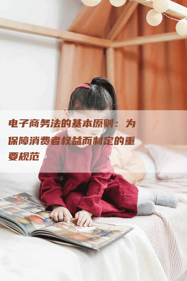 电子商务法的基本原则：为保障消费者权益而制定的重要规范