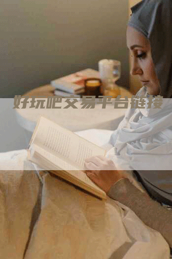 好玩吧交易平台链接