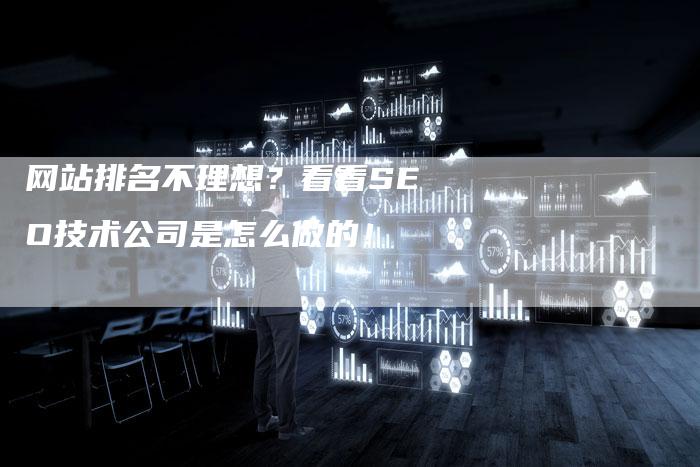 网站排名不理想？看看SEO技术公司是怎么做的！