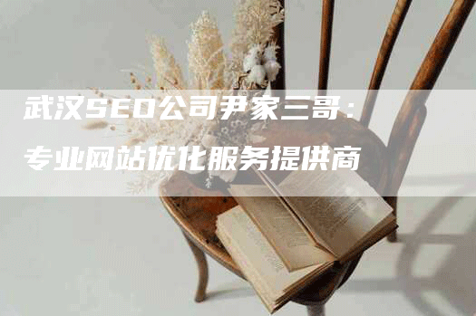 武汉SEO公司尹家三哥：专业网站优化服务提供商