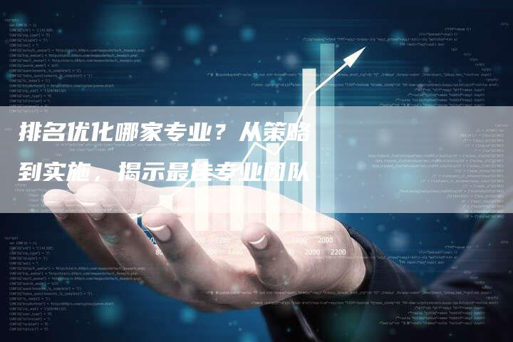 排名优化哪家专业？从策略到实施，揭示最佳专业团队