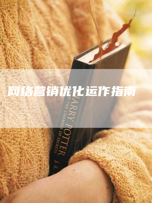 网络营销优化运作指南