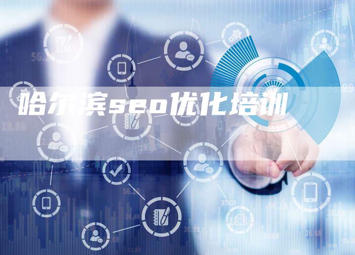 哈尔滨seo优化培训