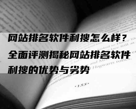 网站排名软件利搜怎么样？全面评测揭秘网站排名软件利搜的优势与劣势
