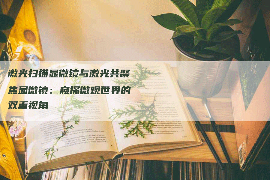 激光扫描显微镜与激光共聚焦显微镜:窥探微观世界的双重视角-帮发外链网