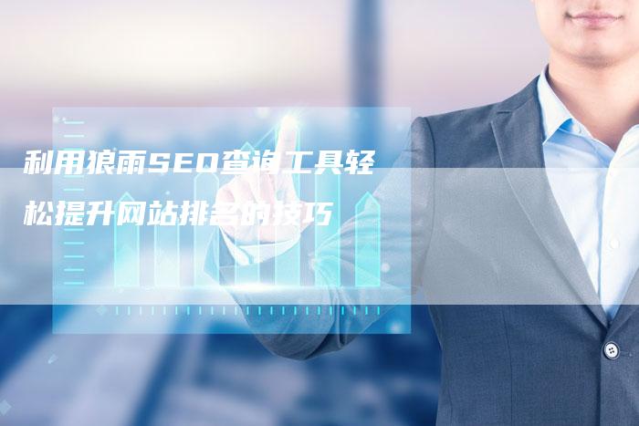 利用狼雨SEO查询工具轻松提升网站排名的技巧