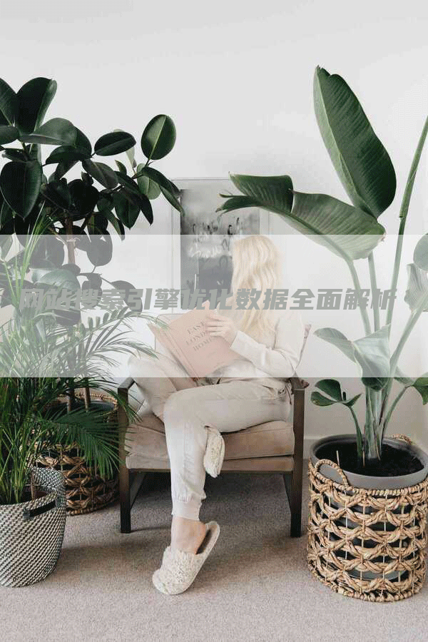 网站搜索引擎优化数据全面解析