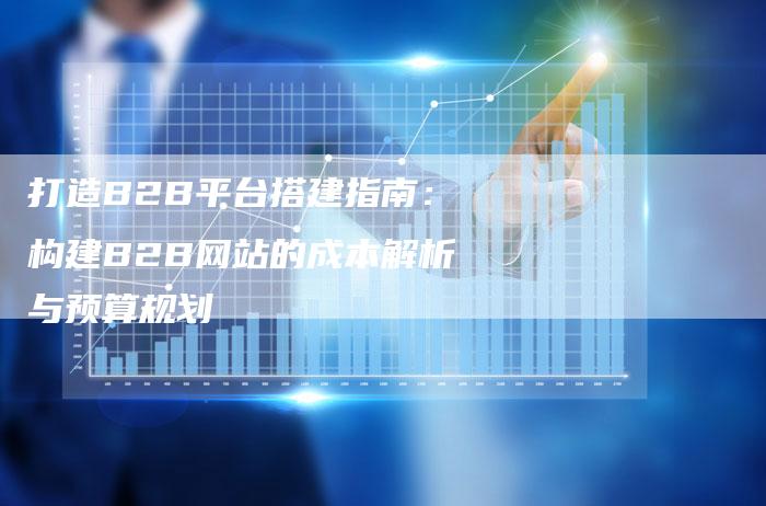 打造B2B平台搭建指南：构建B2B网站的成本解析与预算规划