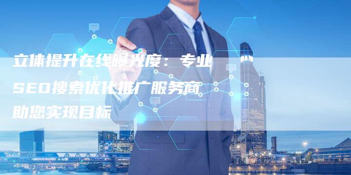 立体提升在线曝光度：专业SEO搜索优化推广服务商助您实现目标