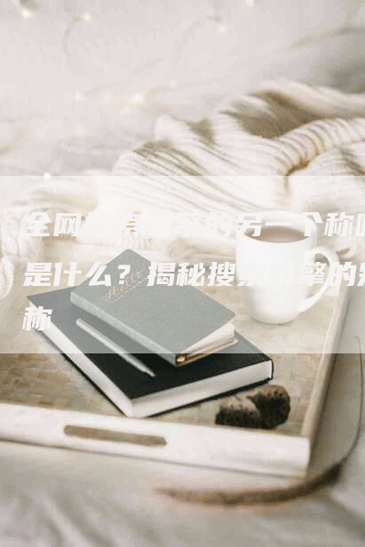 全网搜索引擎的另一个称呼是什么？揭秘搜索引擎的别称