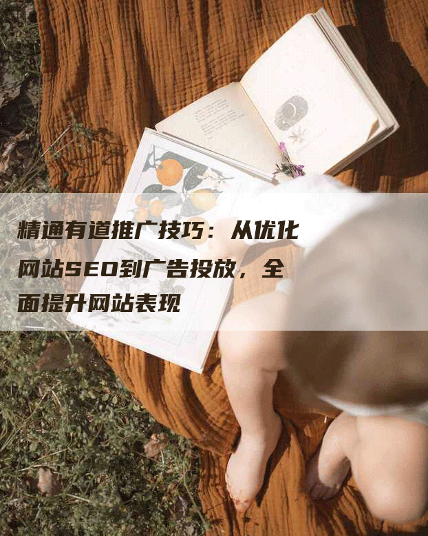 精通有道推广技巧：从优化网站SEO到广告投放，全面提升网站表现